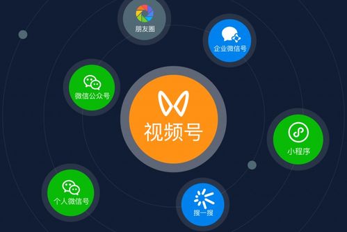 煜晨營銷洞察 2024年互聯(lián)網(wǎng)品牌營銷與銷售的四大融合趨勢