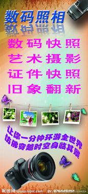 數(shù)碼攝影與數(shù)字廣告設計 打造吸睛視覺盛宴